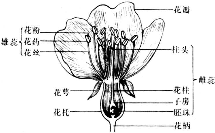 花器 智汇三农