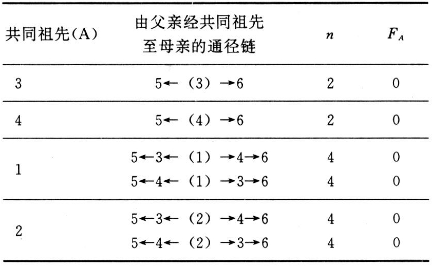 祖先到x的母亲的代数(即箭形系谱图中通过共同祖先连接父母的箭头数)