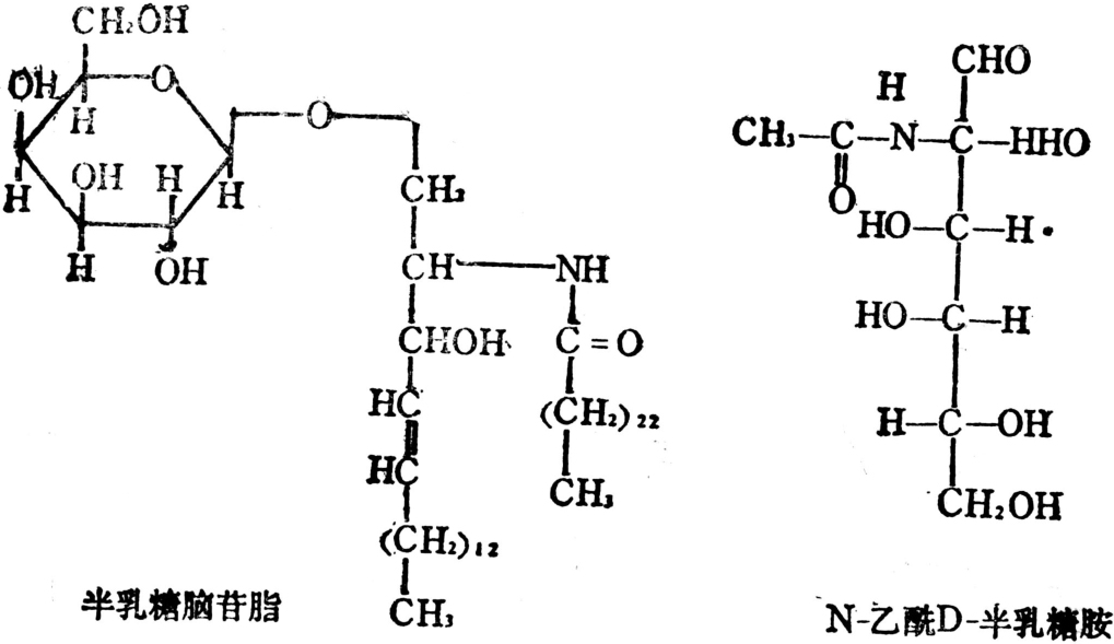 复杂脂的化学结构