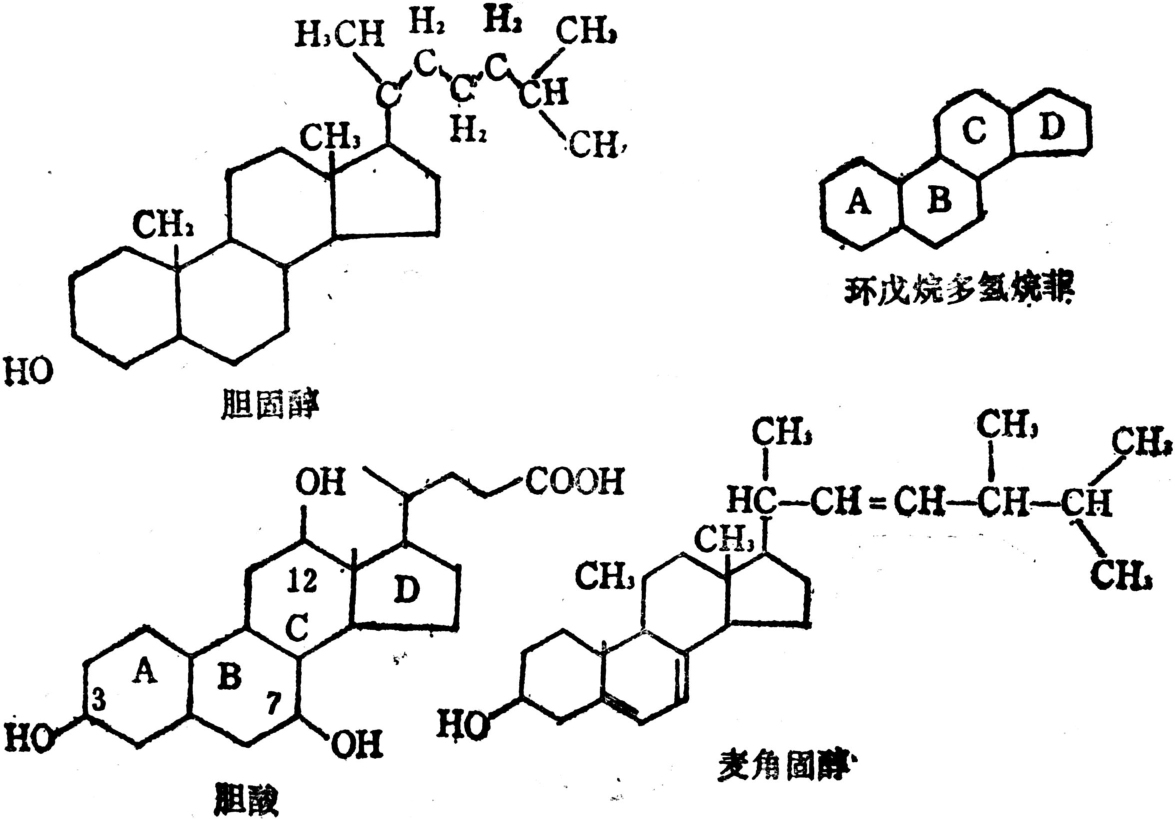 简单脂类的化学结构