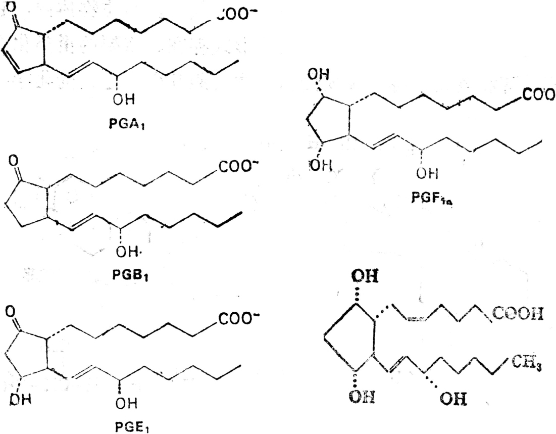 简单脂类的化学结构