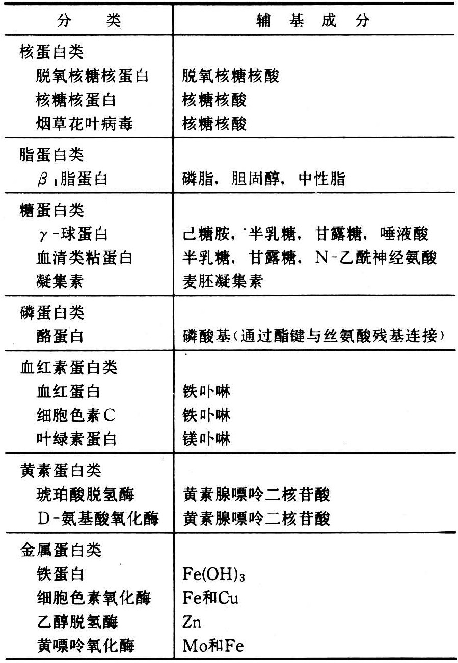 表1 简单蛋白质的分类