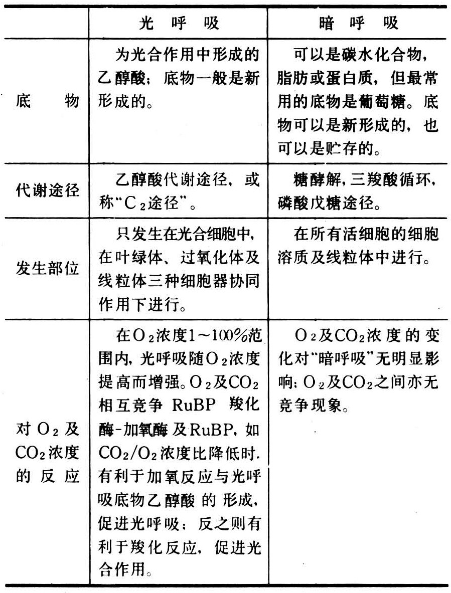 光呼吸