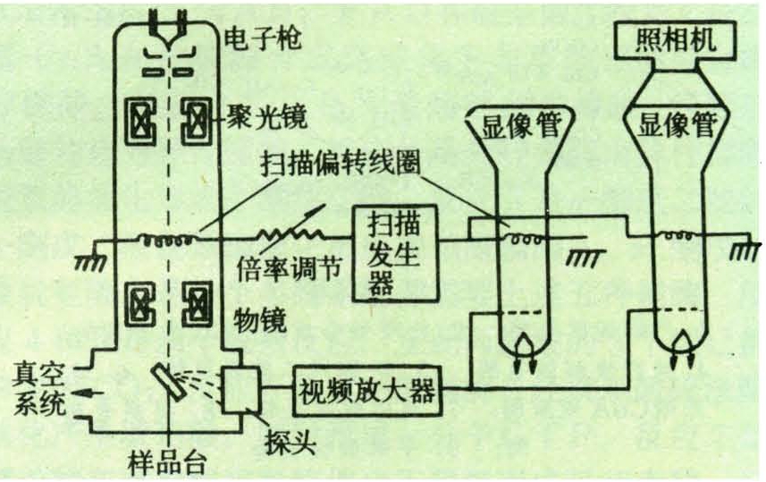 扫描电子显微镜检术