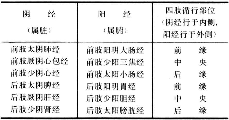 命名是根据其所联属脏腑的阴阳属性及其在动物体的循行部位不同而定的