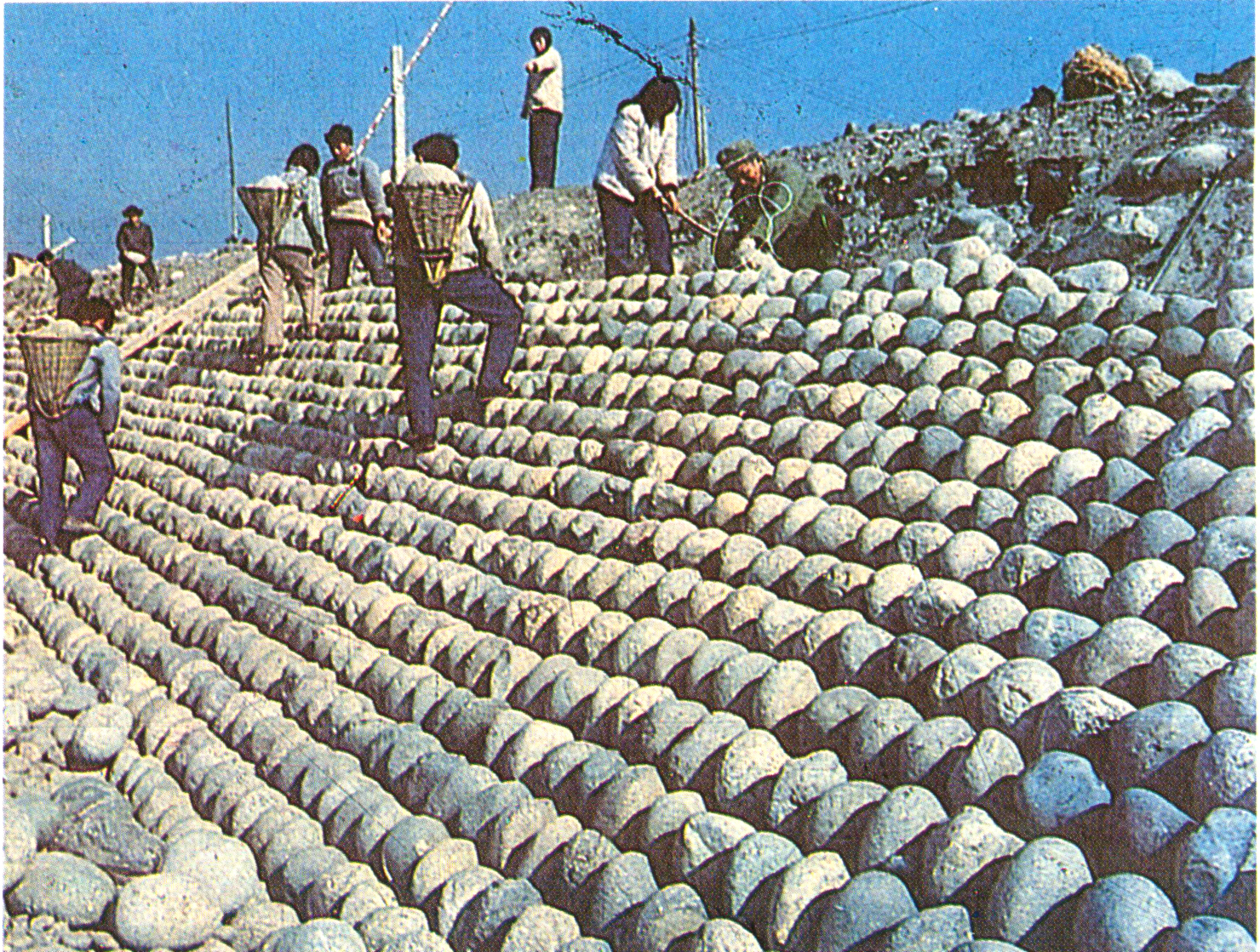 50 都江堰护堤竹笼49 开封禹王庙大禹治水砖刻壁画48 明代鱼鳞图册(二