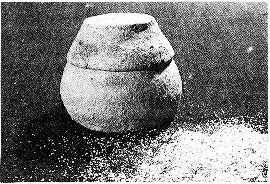 粟栽培史-智汇三农