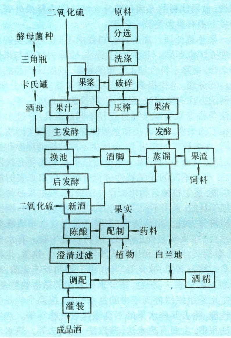果酒生产工艺流程