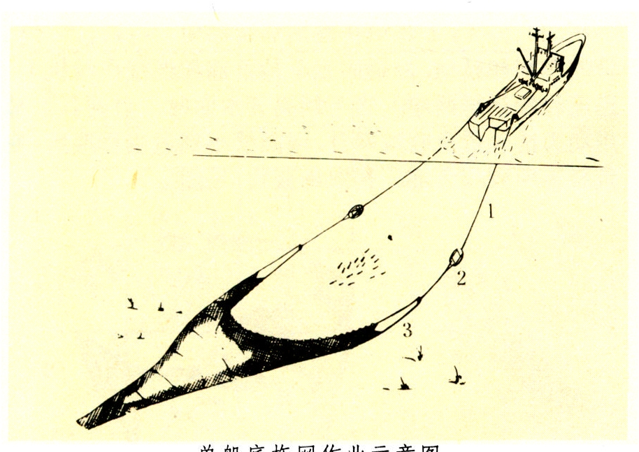 单船底拖网渔业-智汇三农