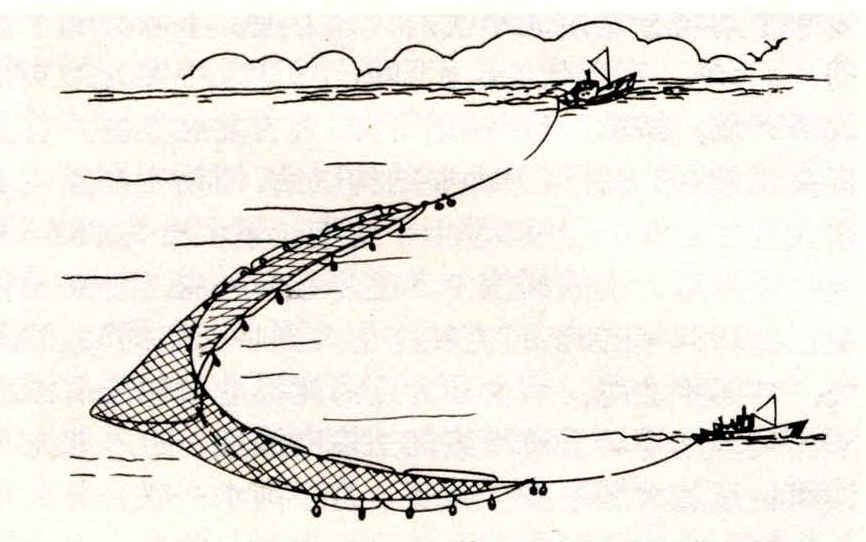 双船有囊围网捕鱼