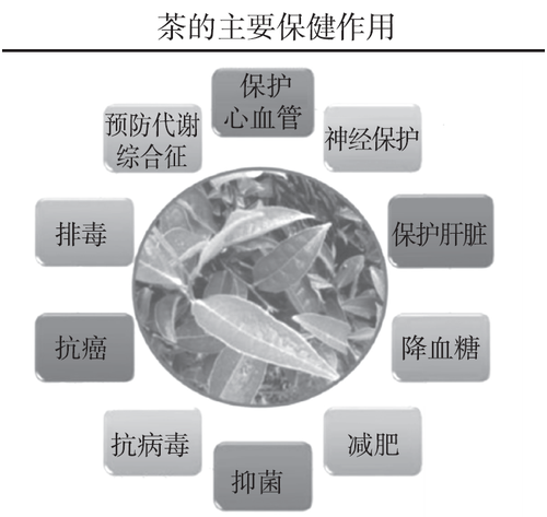 微信图片_20210720085628